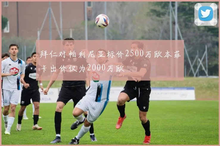 拜仁对帕利尼亚标价2500万欧本菲卡出价仅为2000万欧