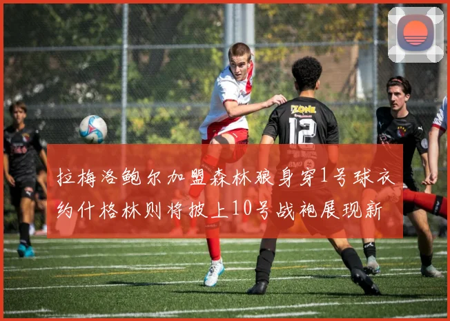 拉梅洛鲍尔加盟森林狼身穿1号球衣约什格林则将披上10号战袍展现新风采